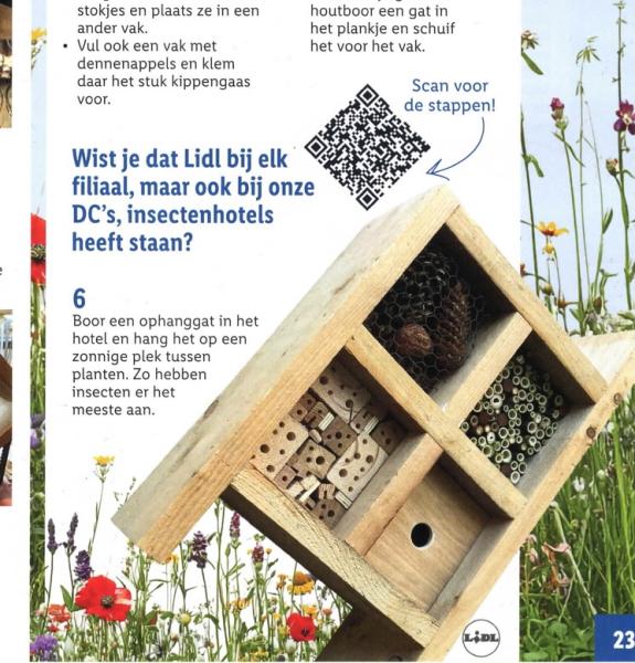 Artikel stappenplan